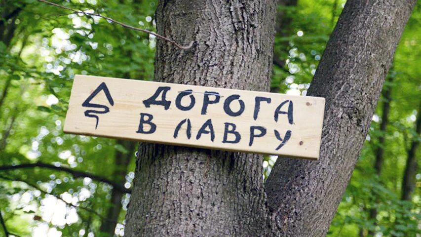 Тропа сергия радонежского хотьково маршрут. Туристические тропы в подмосковье. Тропа сергия радонежского маршрут. Дорога в лавру тропа пешеходная маршрут. Тропа в лавру.