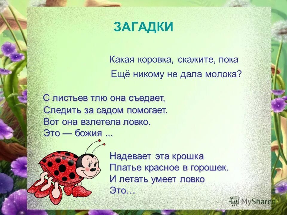 Наблюдать загадка. Загадка про Божью коровку для детей. Занадеп о Божьей коровке. Загадка про Божью коровку для малышей. Стих про Божью коровку.