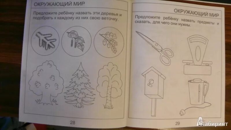 Математика развитие речи окружающий мир солнечные ступеньки. Солнечные ступеньки окружающий мир. Математика развитие речи окружающий мир. Солнечные ступеньки развитие речи. Солнечные ступеньки рабочие тетради 6-7 математика.