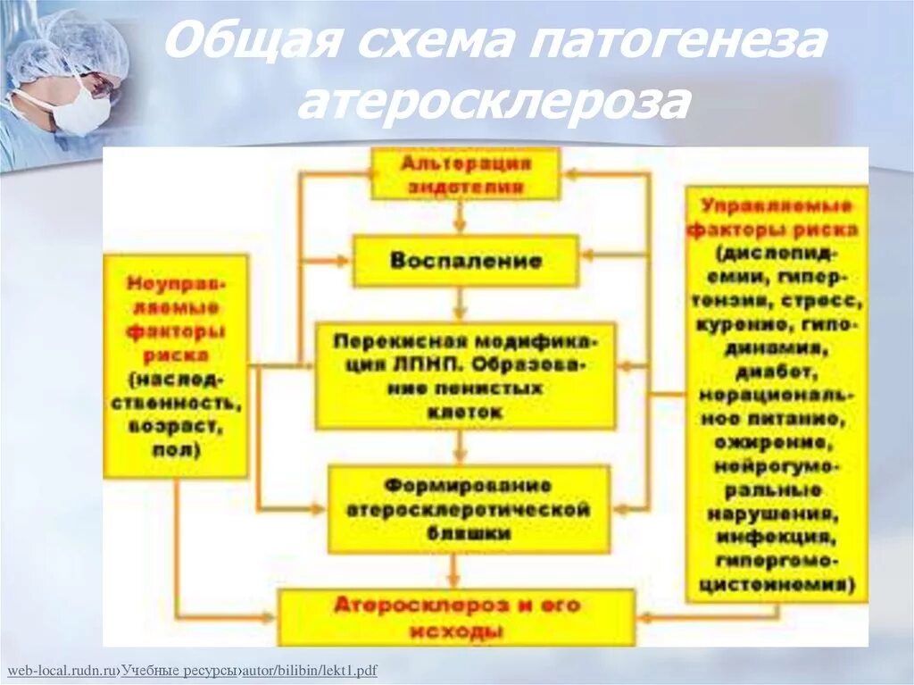 Патогенез атеросклероза патофизиология. Механизмы развития атеросклероза схемы. патогенез атеросклероза схема. патогенетические звенья атеросклероза. основные звенья патогенеза атеросклероза.