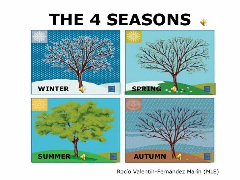 Spring is than winter. Изображения времен года для детей. Рисунки по временам года. Времена года на англ для детей. Времена года для дошкольников.