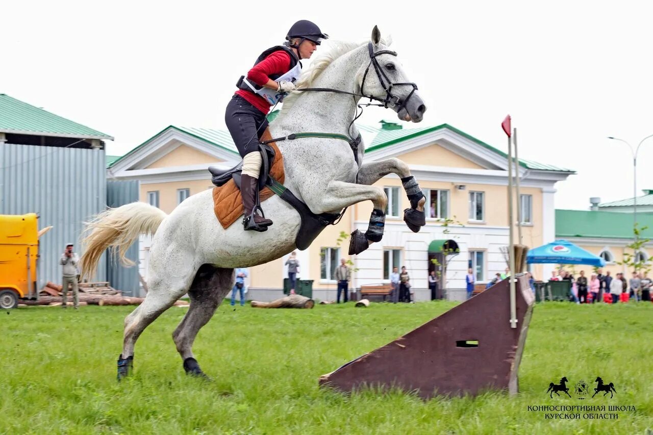 Кск привод. Курская конно-спортивная школа Курск. Курская Конная школа. Конноспортивная школа Курск. Конно-спортивная школа БЕЛГУ.