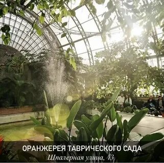Оранжерея таврического сада афиша