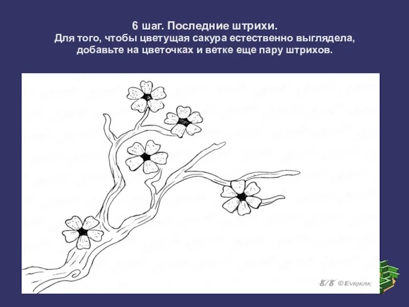 Сакура изо 4 класс. Праздник цветения Сакуры 4 класс изо. Изобразительное искусство 4 класс праздник цветения Сакуры. Изо ветка Сакуры презентация. Праздник цветения вишни Сакуры 4 класс.