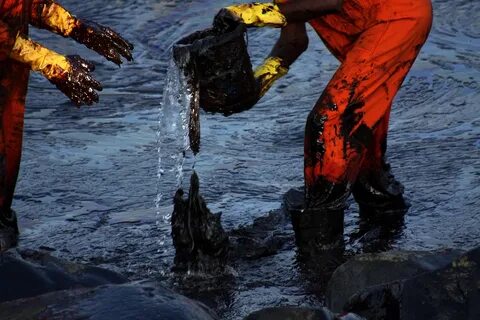 загрязнение воды нефтью