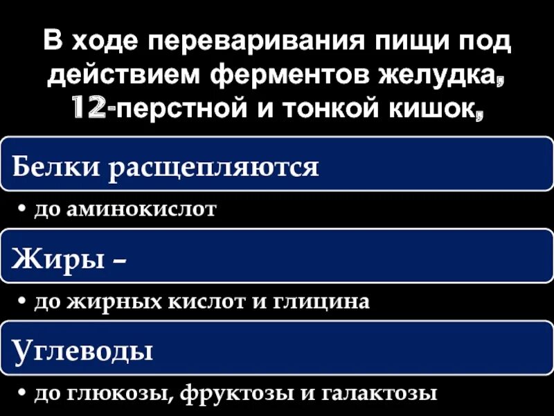 Содержит ферменты расщепляющие белки жиры. Белки жиры углеводы ферменты. Где расщепляются белки жиры и углеводы. Ферменты белков жиров и углеводов. Ферменты расщепляющие белки жиры углеводы.