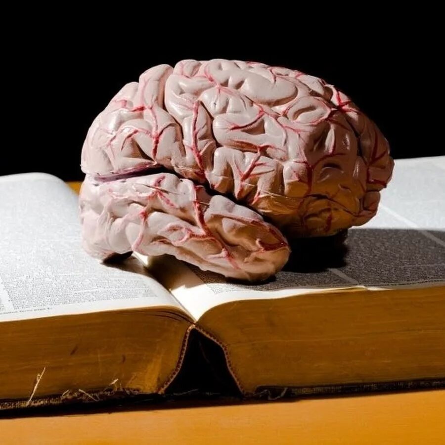 Book brain