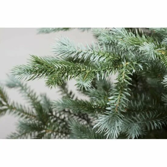 15. 85. царь елка ель голубая. кремлевская искусственная ель голубая. елка адель 180.