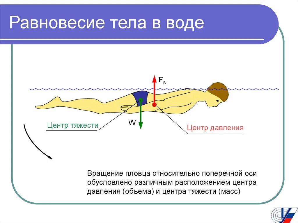 Равновесие тел. Условие равновесия тела в воде. Центр тяжести воды. Силы действующие при плавании. Продвигающая сила