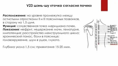 Почему называют 5 точкой