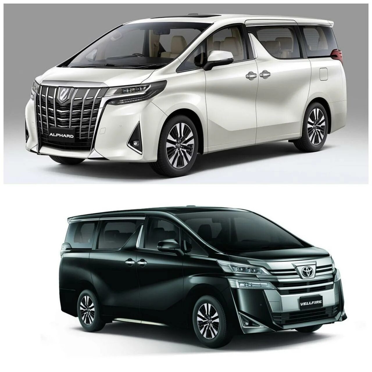 Чем отличается альфард от тойота веллфайр. Toyota Vellfire 2021. Тойота Велфаер 2020. Toyota Alphard Vellfire 2020. Тойота альпхард 2020.