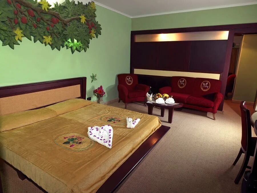 Eco dream holiday resort. Чамьюва натурленд. отель натурленд турция. эко дрим клаб кемер. holiday area eco dream club green resort.