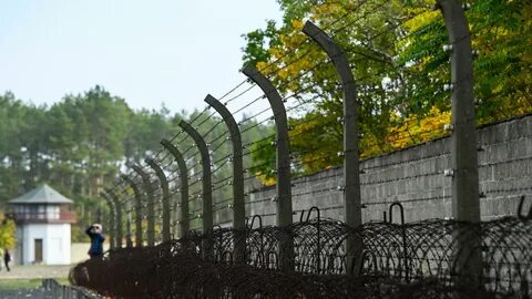 3300 человек