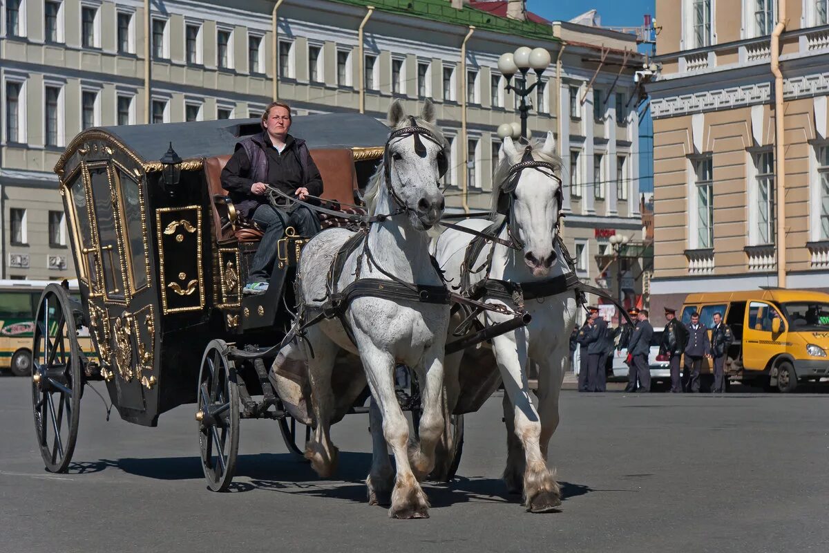 Ездила в питер. Экипаж карета. Конная повозка. Экипаж с лошадьми. Карета в Питере.