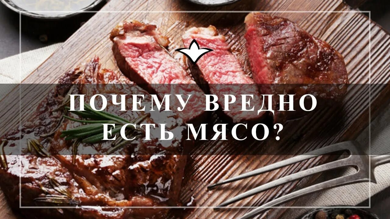 Сайт мясо ем. Почему вредно есть мясо.