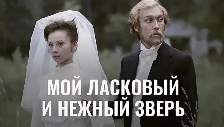 Мой ласковый и нежный зверь. Кто поет мой ласковый зверь. Дога мой ласковый и нежный зверь. Мой ласковый и нежный зверь 1978. Кто поет мой ласковый зверь.