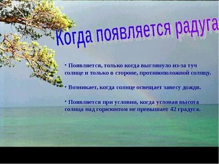 Дождь совсем прошел когда выглянуло