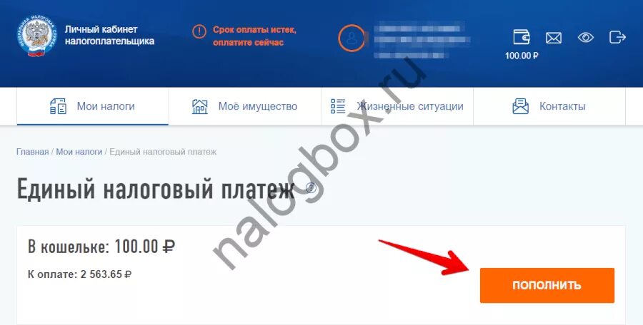 Модуль 1 единый налоговый счет. Единый налоговый платеж. единый налоговый платеж физического лица. единый налоговый счет налоговая. единый налоговый платеж для юл.