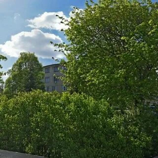 Наркология старый