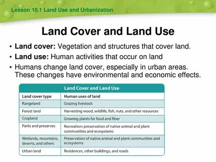 Land cover