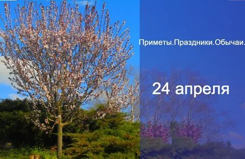 22 апреля 2024 приметы дня