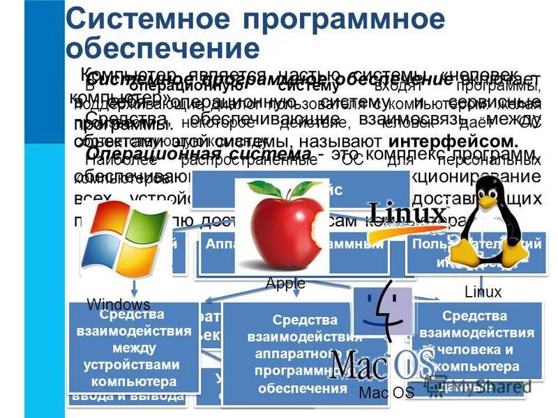 Системная программная информация