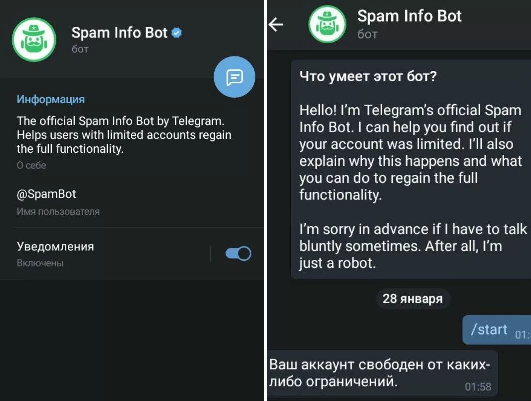 Спам инфо бот. Спам инфо бот в телеграмме. @Spambot. Телеграмм бот. Spam info bot в телеграмм. Спамят боты