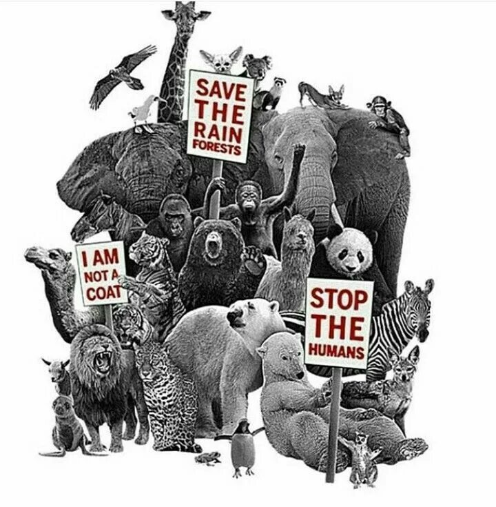 Save to say. Animal rights. animal rights poster. save animals poster.