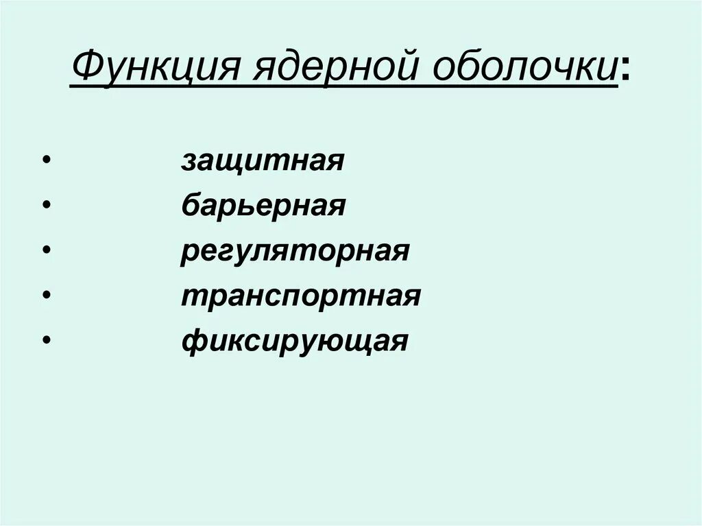 Ядерная оболочка функции. Ядерная мембрана функции. Особенности строения ядерной оболочки.