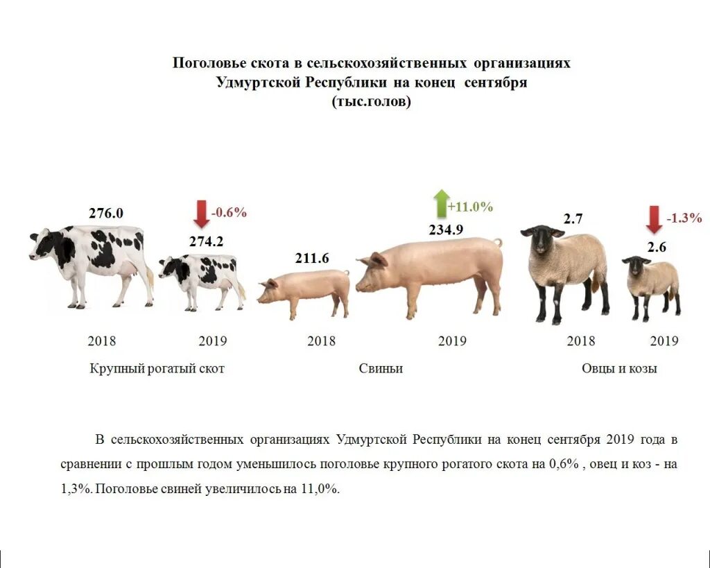 Поголовье скота. Размер коровы в среднем. Увеличение поголовья скота. Среднемесячное поголовье скота.