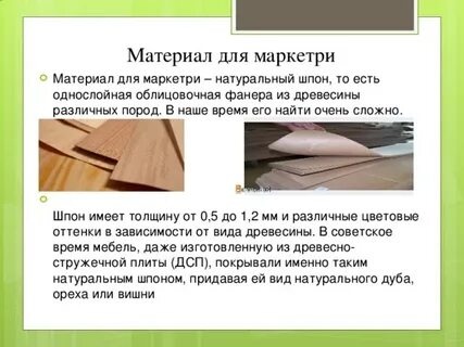 Издавна люди присматривались к древесине разных