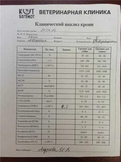 Сдача анализов животных