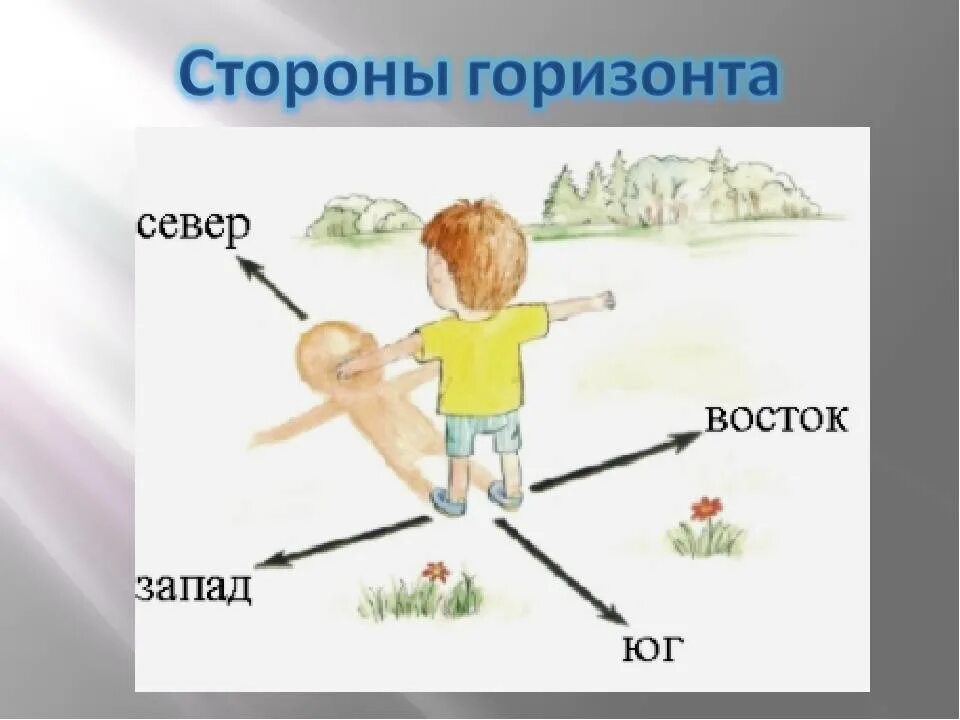 Как определить восток. Как понять где север юг запад восток. как понять север запад юг восток. как научиться понимать где север запад юг восток. ориентирование на местности север юг запад восток.