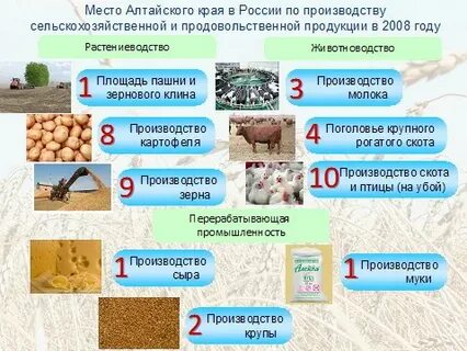 Закупки хозяйств
