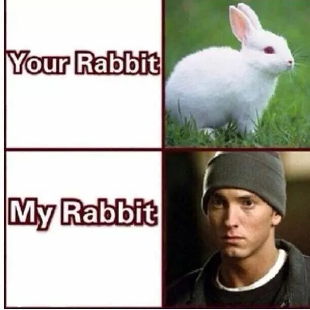 Eminem rabbit run. Eminem rabbit. white rabbit eminem.
