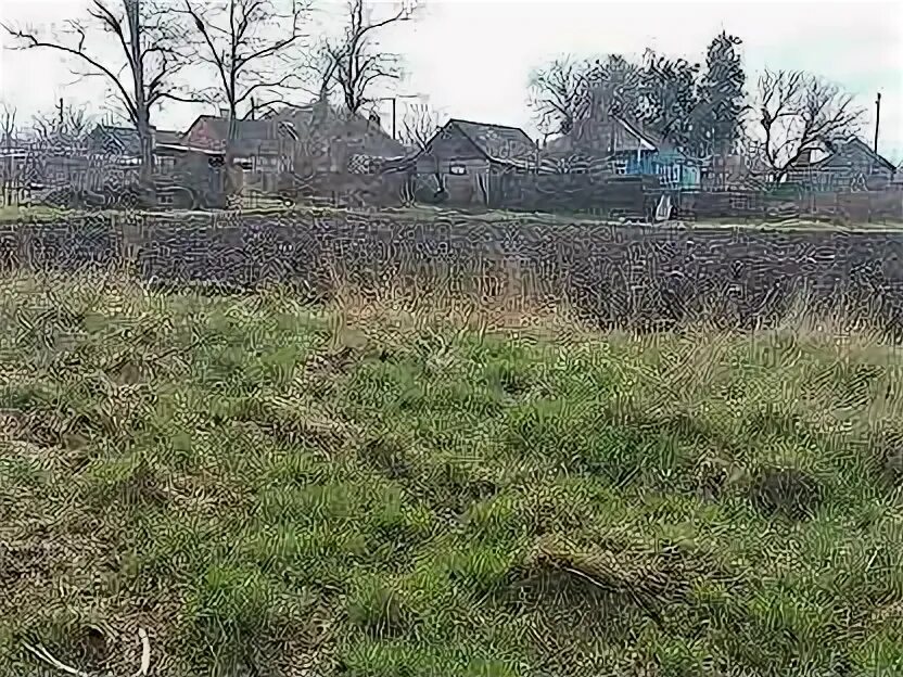 Снять дачный дом. Огород на даче. Огород в 5 га. Дача для сдачи в аренду. Продаётся огород.