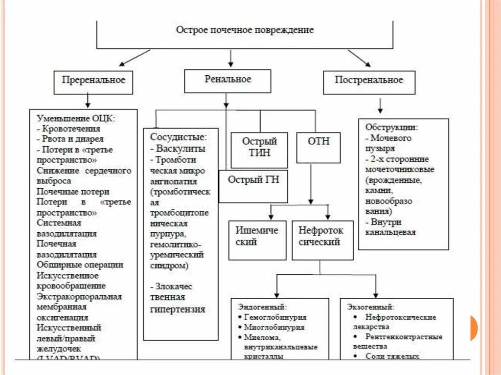 Патогенез ОПН схема. Острое повреждение почек классификация. Острое почечное повреждение классификация. Острая почечная недостаточность классификация. Опн клинические