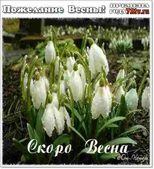 До весны осталось. До весны осталось два дня. До весны осталось картинки. До весны три понедельника. До весны осталось 2 дня