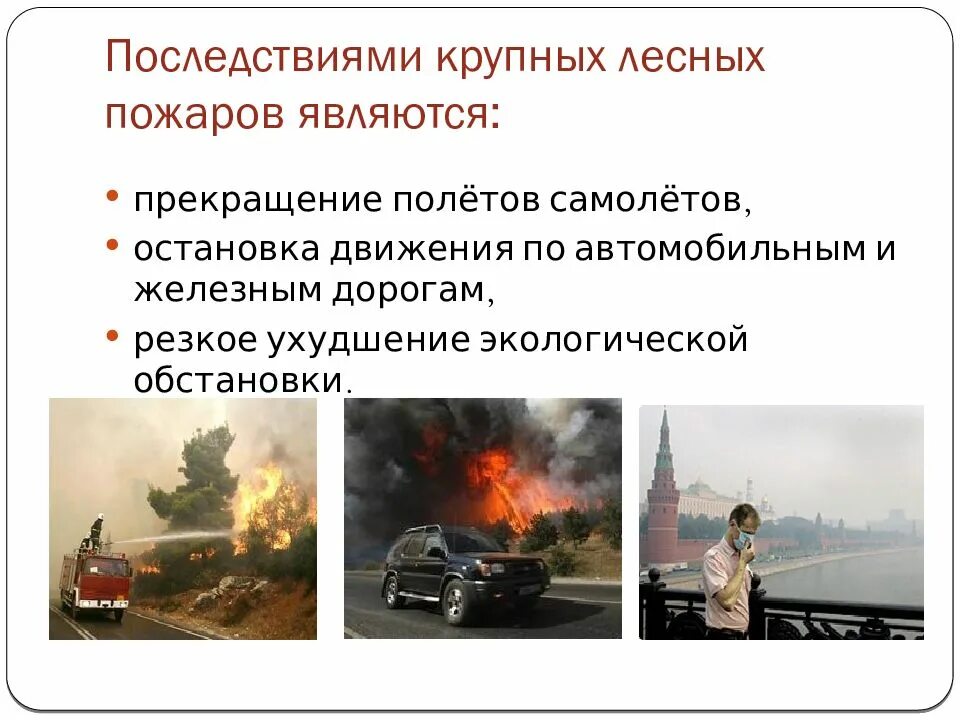 Прогнозирования последствий пожаров. Последствия природных пожаров. последствия от лесных пожаров. последствия лесных пожаров кратко. природные пожары последствия для человека.