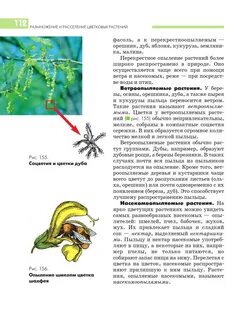 Опыление ветром и насекомыми