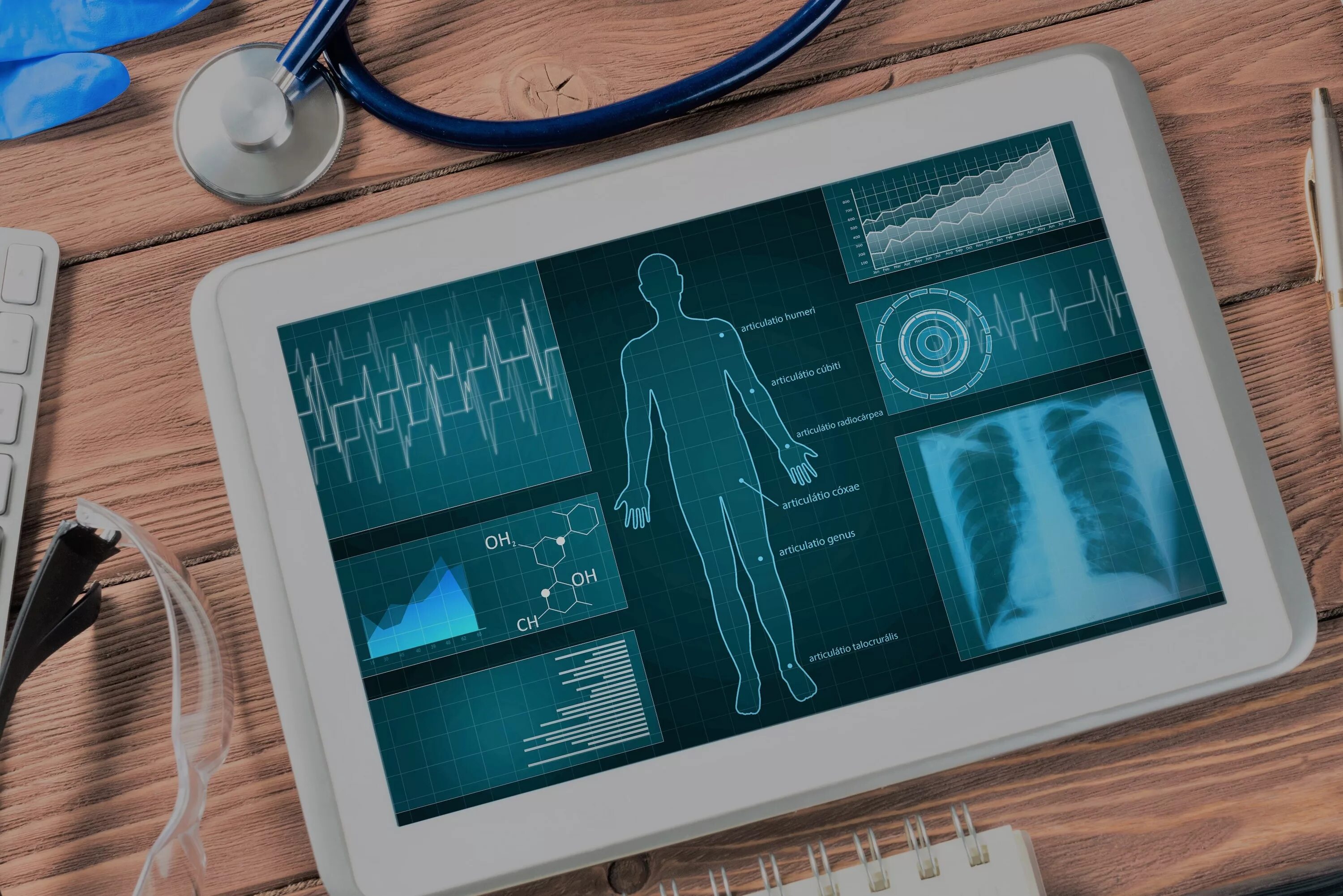 Electronic health record. Health record. Personal health. Health record. My health.