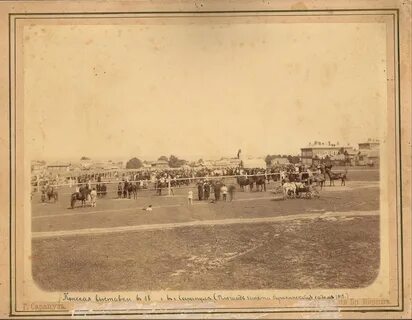 1895 год