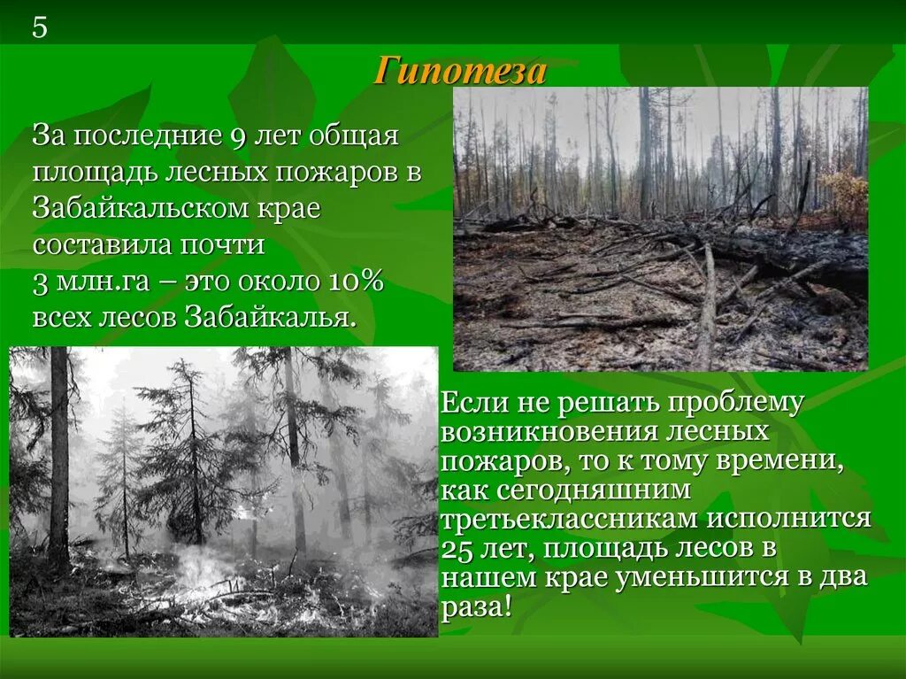 Лесной пожар задачи. Гипотеза о лесных пожарах. Причины возникновения лесных пожаров. Гипотеза на тему пожар. Гипотеза проекта Лесные пожары.