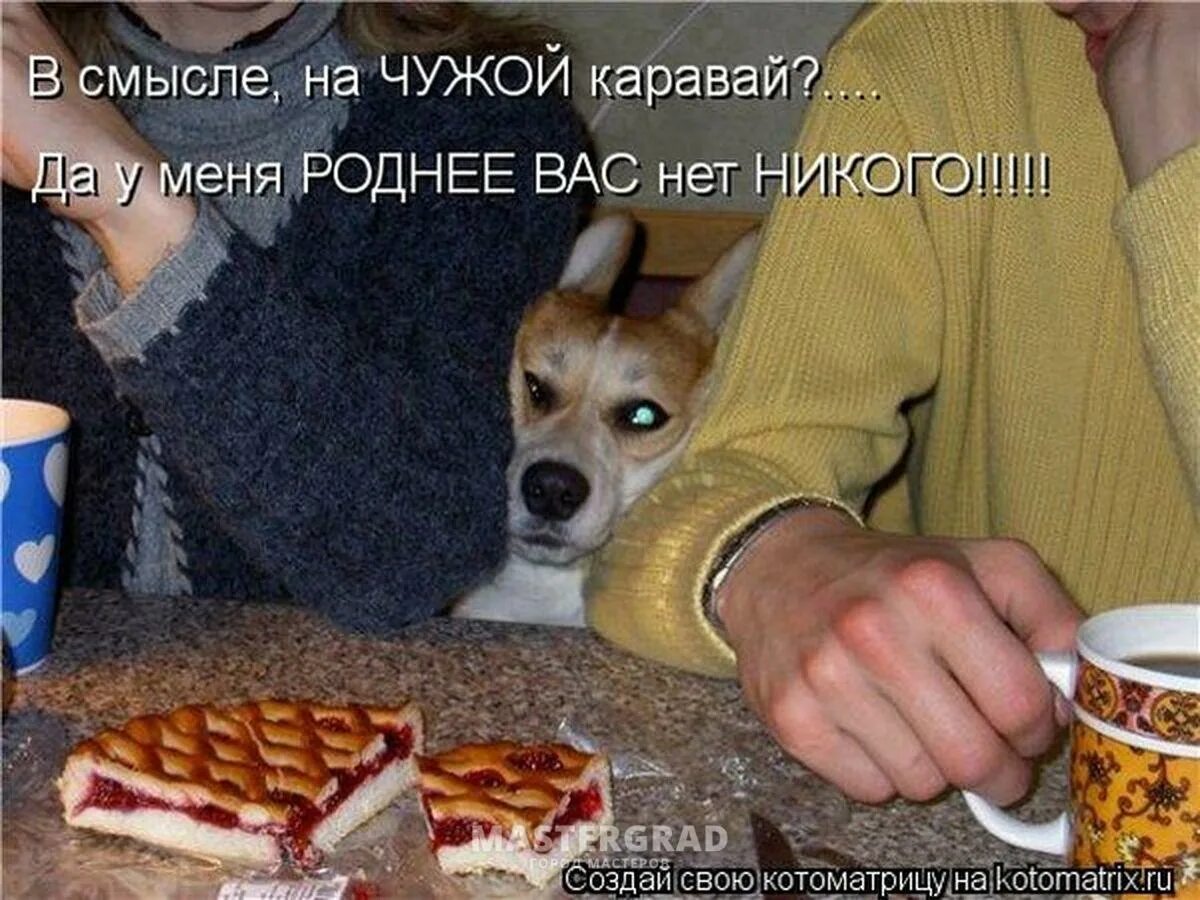 Не могло ни создать
