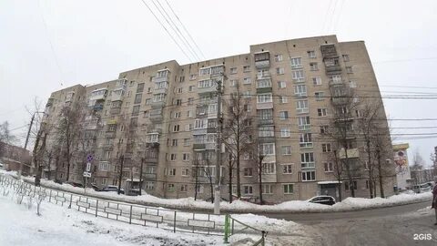 Сойфера тула