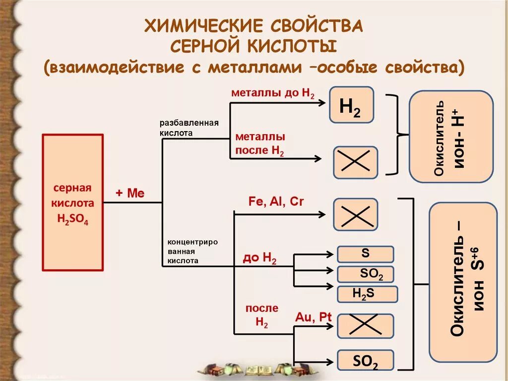 Кислотный свойства серной кислоты. Взаимодействие разбавленной серной кислоты с металлами схема. Химические свойства серной кислоты схема. Химические свойства серной кислоты разбавленной и концентрированной. Свойства концентрированной серной кислоты схема.