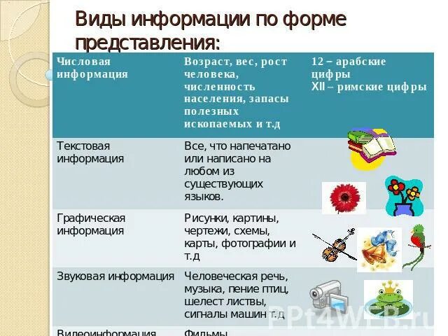 Виды информации числовая текстовая. Информация по форме представления. виды и формы представления информации. типы информации по форме представления. виды информации примеры.