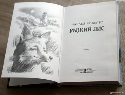 Читать книгу лис
