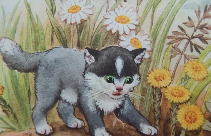Аудиосказка кот. Аудиосказка кот