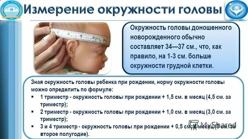 Окружность головы доношенного